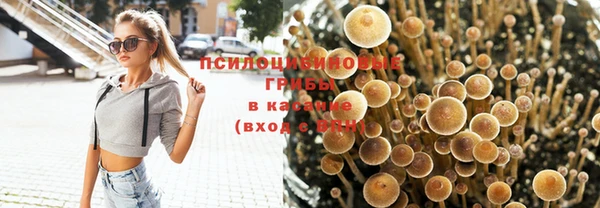 MESCALINE Липки