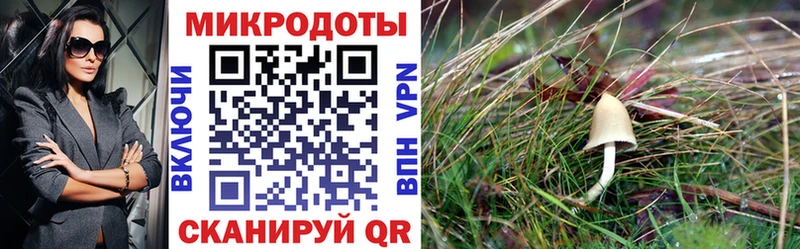Галлюциногенные грибы мицелий Серпухов