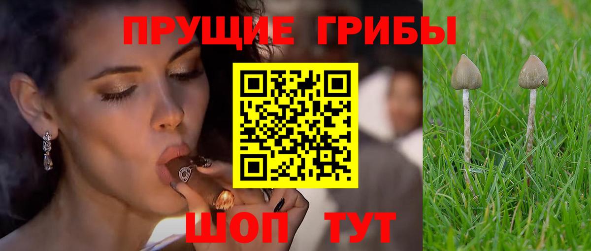 купить наркоту  Галлюциногенные грибы мицелий  Вход с VPN  Серпухов 